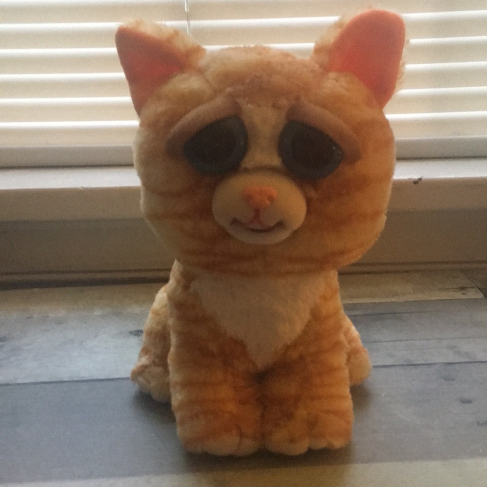 Moving Stuffed Cat